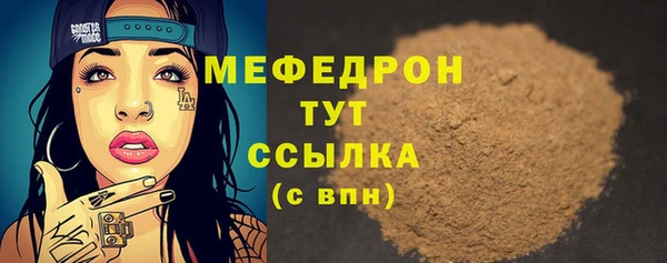 индика Гусиноозёрск