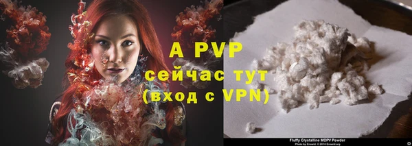ALPHA PVP Гусев