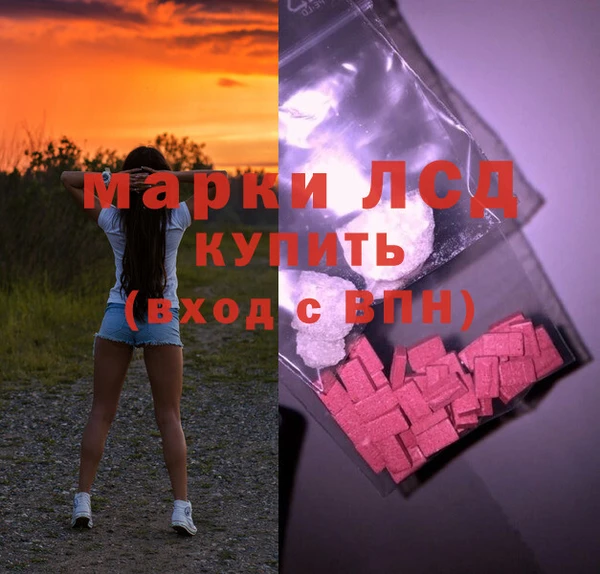 индика Гусиноозёрск