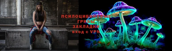 ALPHA PVP Гусев