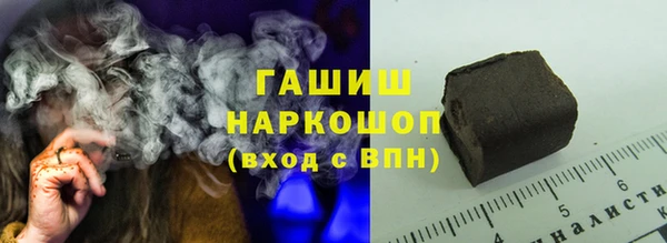 индика Гусиноозёрск