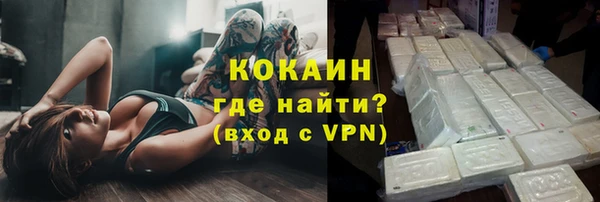 индика Гусиноозёрск
