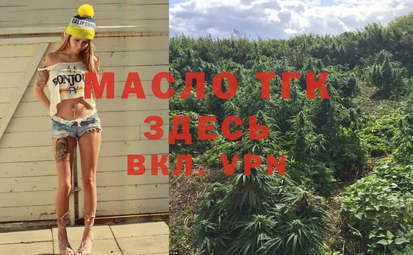 индика Гусиноозёрск