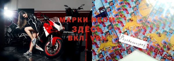 индика Гусиноозёрск