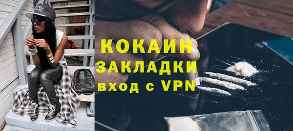 ALPHA PVP Гусев