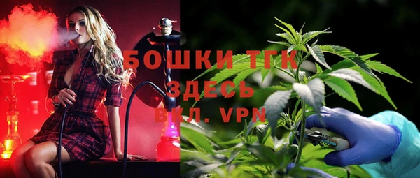 индика Гусиноозёрск