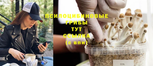 индика Гусиноозёрск