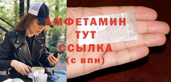 индика Гусиноозёрск