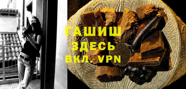 индика Гусиноозёрск
