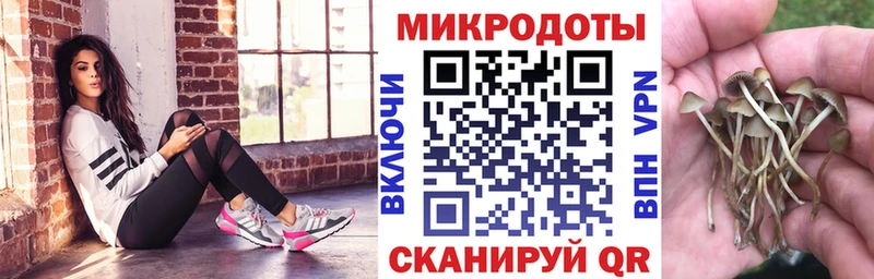 Псилоцибиновые грибы GOLDEN TEACHER  hydra онион  Звенигово 